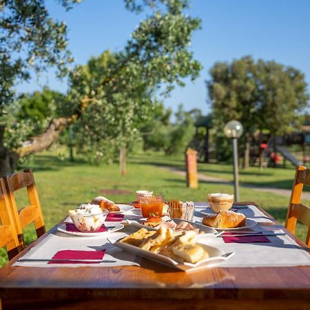 Glamping Gli Etruschi Hotel Piombino Buitenkant foto